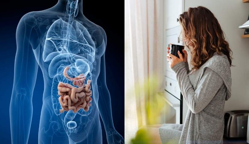 coffee-and-gut-health-img