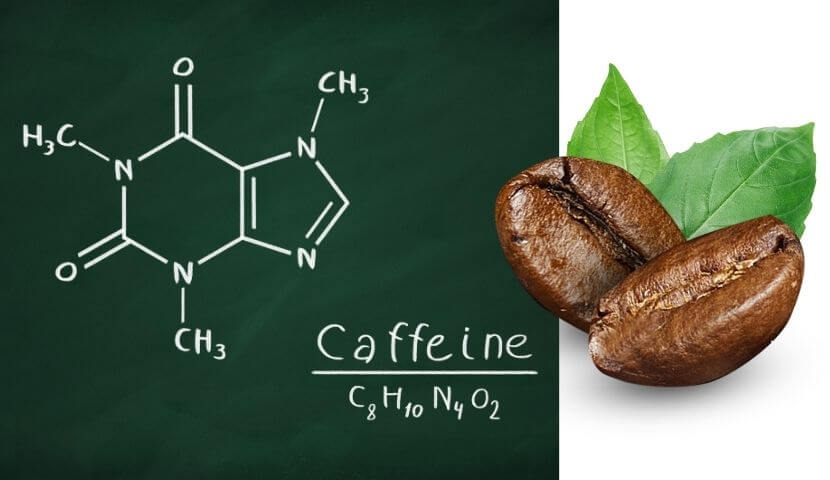 understanding-how-caffeine-works-img