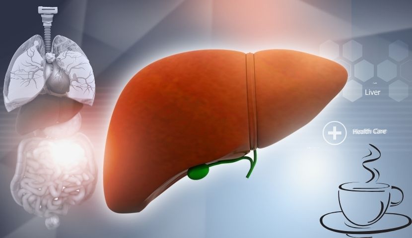 coffee-impacts-liver-enzymes-explained-img