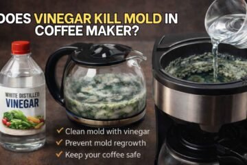 Vinegar-kill-mold-in-coffee-maker-img