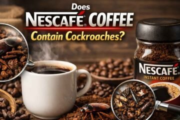 does-Nescafe-coffee-contain-cockroaches-explained-image